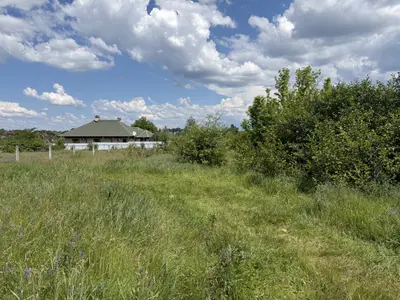 Продаж ділянки, в Рибцях 9 соток — мініатюра фото 14