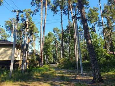 Продаж ділянки 6.5 соток — мініатюра фото 3