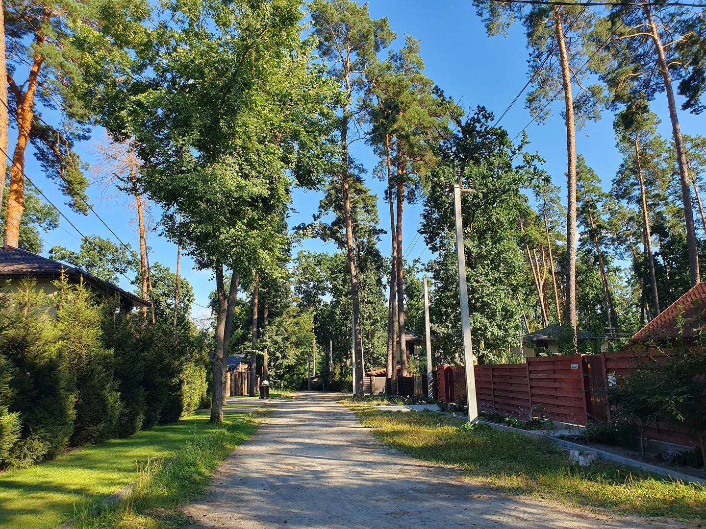 Продаж ділянки 6.5 соток — фото 5 з 7