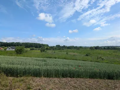 Продаж земельної ділянки  — мініатюра фото 2