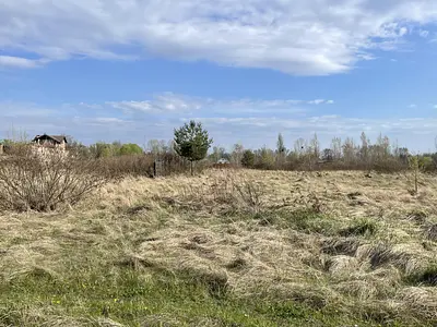 Ексклюзивні ділянки на березі Десенки (затока Доманя) — Деснянський р-н. Троєщина — мініатюра фото 3