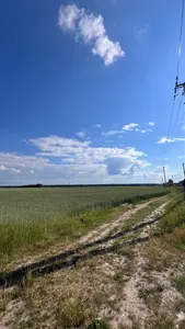 Продаж земельної ділянки. Пай — мініатюра фото 2