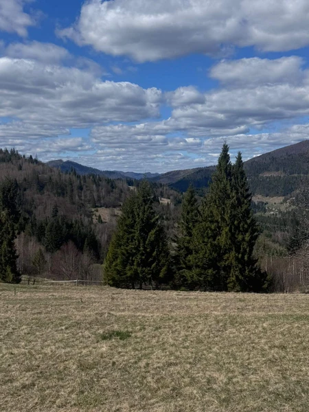 Продаж ділянки у Н.Рожанці, Славська ТГ — фото 2 з 6