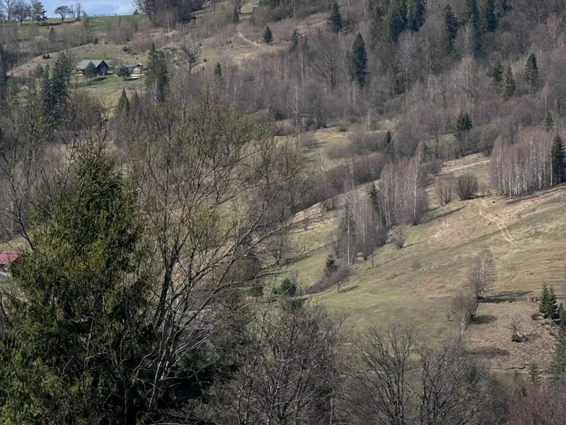 Продаж ділянки у Н.Рожанці, Славська ТГ — фото 4 з 6