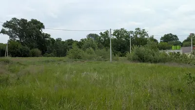 Продам 8 соток. поряд Електрика і сусіди. — мініатюра фото 3