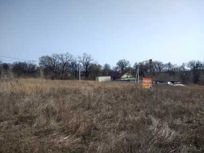 Продам 8 соток. поряд Електрика і сусіди. — мініатюра фото 6