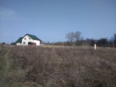 Продам 8 соток. поряд Електрика і сусіди. — мініатюра фото 7
