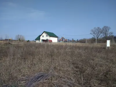 Продам 8 соток. поряд Електрика і сусіди. — мініатюра фото 8