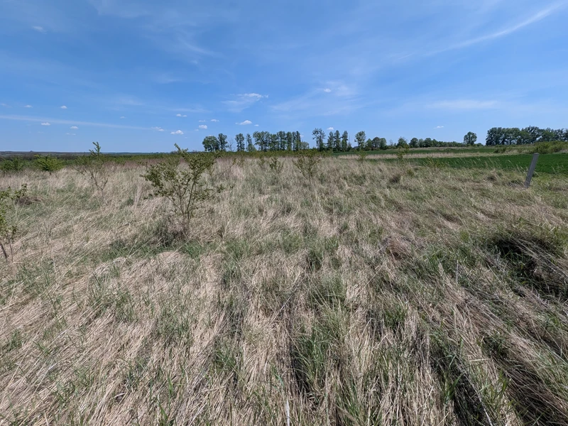 Продаж земельної ділянки
