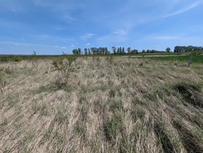 Продаж земельної ділянки — мініатюра фото 1