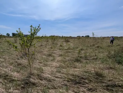 Продаж земельної ділянки — мініатюра фото 2