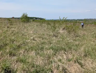 Продаж земельної ділянки — мініатюра фото 3
