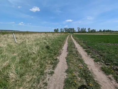 Продаж земельної ділянки — мініатюра фото 5