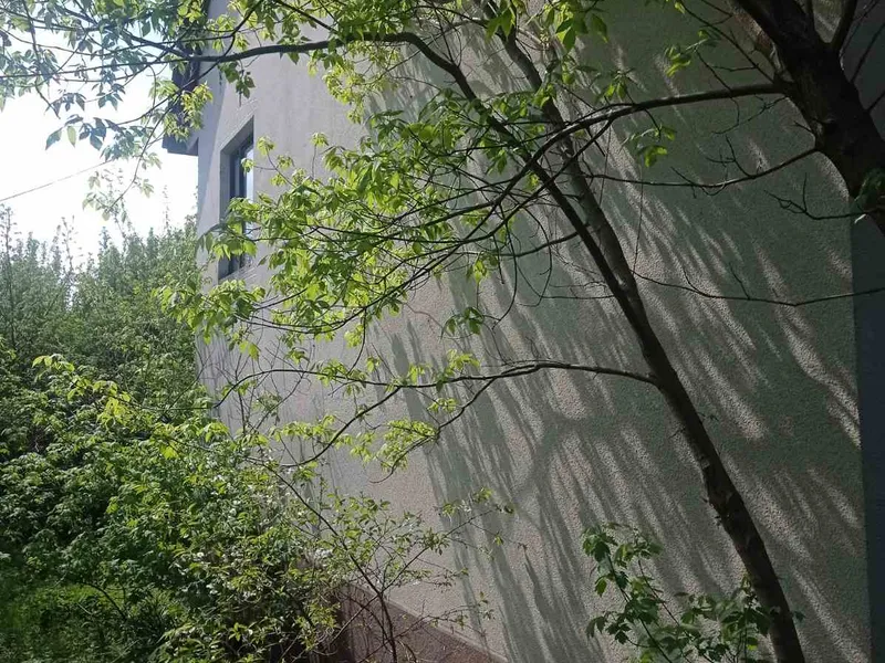 Продам будинок 162кв.м. на 20 сотках біля озера в селі В.Бугаївка — фото 5 з 18