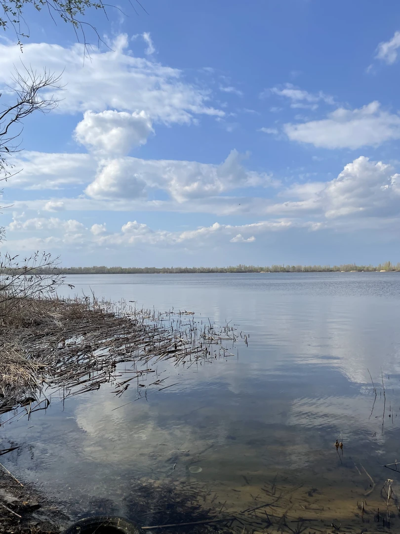 Ексклюзивні ділянки на березі Десенки (затока Доманя) — Деснянський р-н. Троєщина — фото 7 з 10