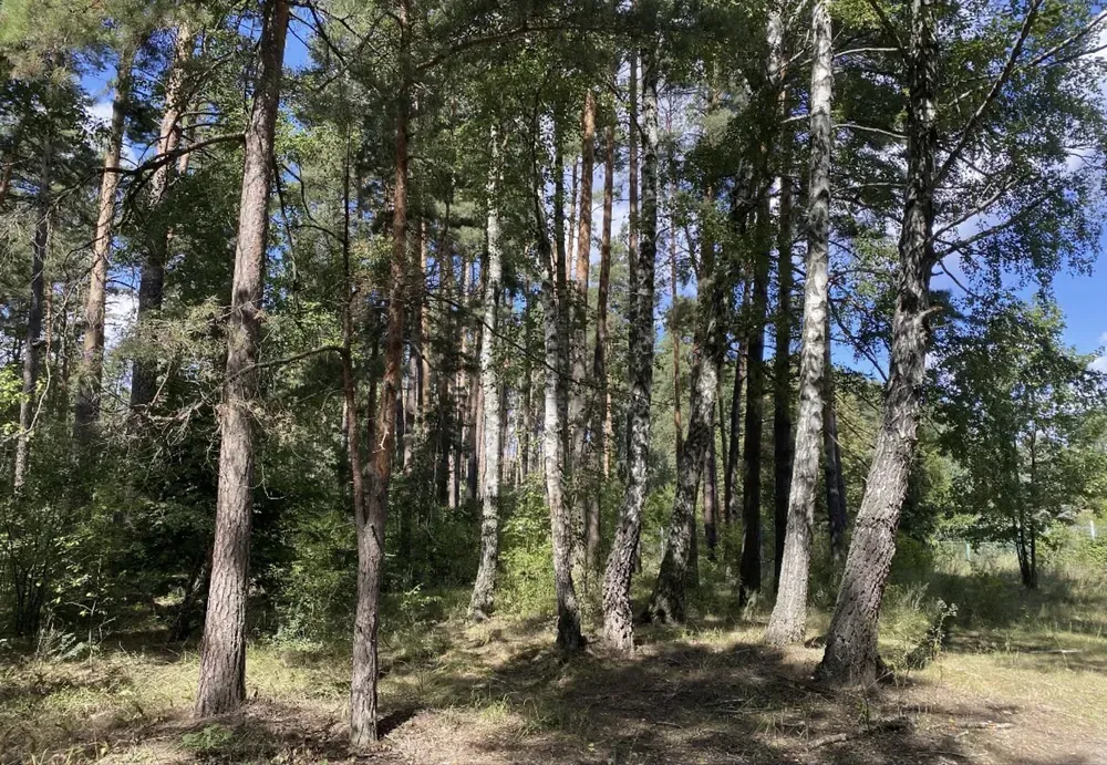 Продам земельну ділянку 0,19 га / Вишгородський район — фото 1 з 3