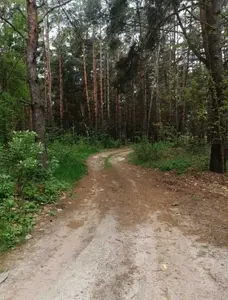 Продам земельну ділянку 0,19 га / Вишгородський район — мініатюра фото 3