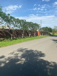 Продається земельна ділянка площею 13,5 сот — мініатюра фото 1