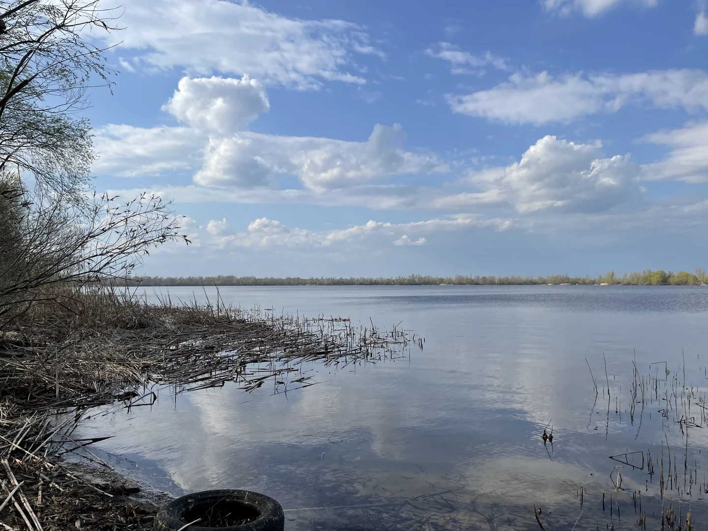 Ексклюзивні ділянки на березі Десенки (затока Доманя) — Деснянський р-н. Троєщина — фото 9 з 10