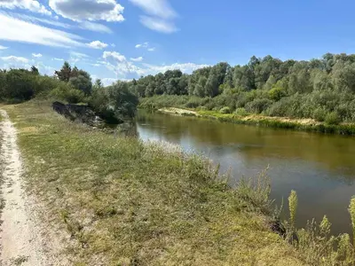Продаж земельної ділянки у Літках Броварський район  — мініатюра фото 2