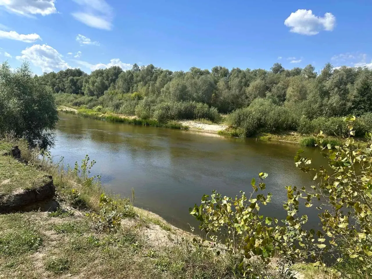Продаж земельної ділянки у Літках Броварський район  — фото 2 з 3