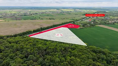 Продаж/Земля/ОСГ/Шоломинь , Давидів/Львівська облас — мініатюра фото 3