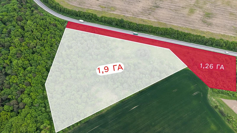 Продаж/Земля/ОСГ/Шоломинь , Давидів/Львівська облас — фото 5 з 10