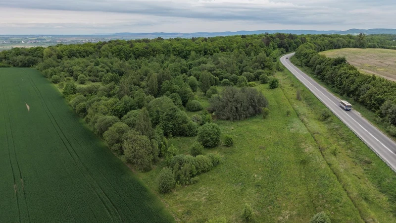 Продаж/Земля/ОСГ/Шоломинь , Давидів/Львівська облас — фото 7 з 10