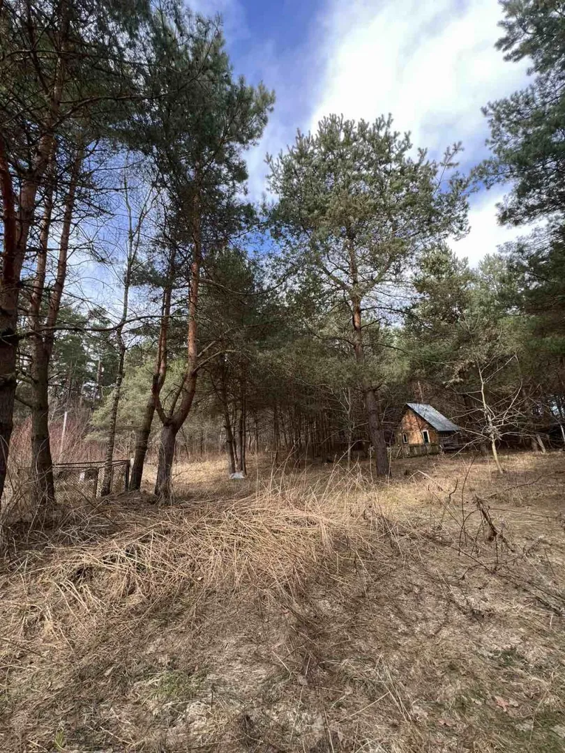 Продаж/Земля/Будівництво/Родатичі/Городоцький район/Львівська область — фото 4 з 17