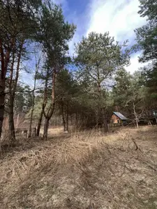 Продаж/Земля/Будівництво/Родатичі/Городоцький район/Львівська область — мініатюра фото 4