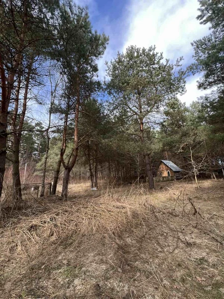 Продаж/Земля/Будівництво/Родатичі/Городоцький район/Львівська область — фото 4 з 17