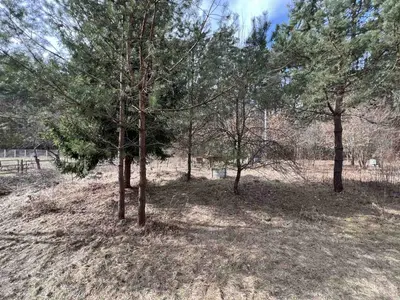 Продаж/Земля/Будівництво/Родатичі/Городоцький район/Львівська область — мініатюра фото 12