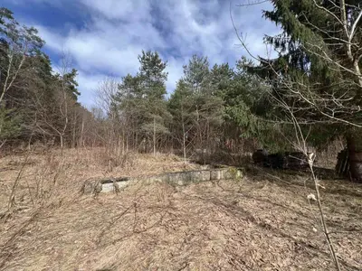 Продаж/Земля/Будівництво/Родатичі/Городоцький район/Львівська область — мініатюра фото 14