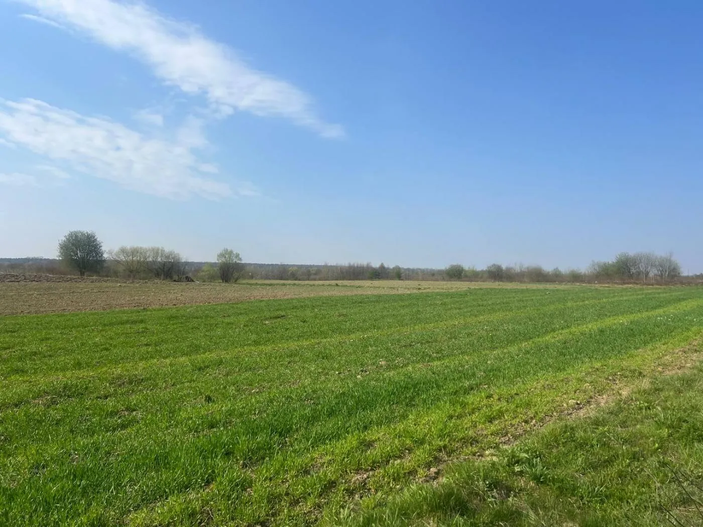 Продаж/Земля/Будівництво/Залужжя/Городоцький/Львівська область — фото 1 з 4