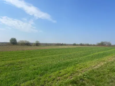 Продаж/Земля/Будівництво/Залужжя/Городоцький/Львівська область — мініатюра фото 1