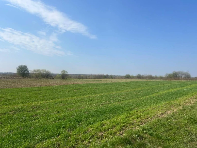 Продаж/Земля/Будівництво/Залужжя/Городоцький/Львівська область — фото 1 з 4