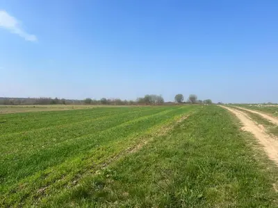 Продаж/Земля/Будівництво/Залужжя/Городоцький/Львівська область — мініатюра фото 2