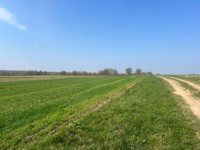 Продаж/Земля/Будівництво/Залужжя/Городоцький/Львівська область — фото 2 з 4