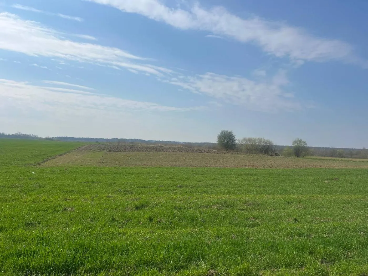 Продаж/Земля/Будівництво/Залужжя/Городоцький/Львівська область — фото 3 з 4
