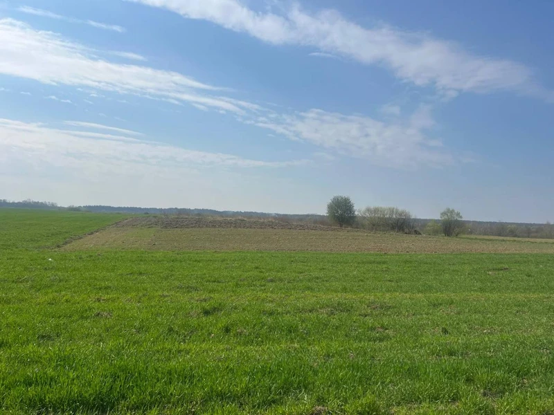 Продаж/Земля/Будівництво/Залужжя/Городоцький/Львівська область — фото 3 з 4