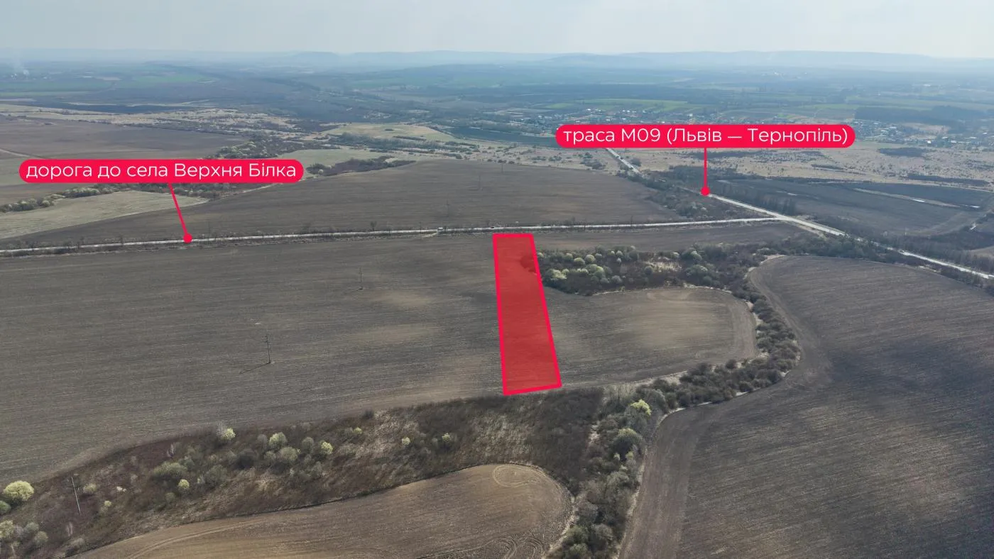 Продаж / Земля / СГ, Комерційне / Підберізці, Чижиків / Пустомитівський, Львівська область — фото 2 з 7