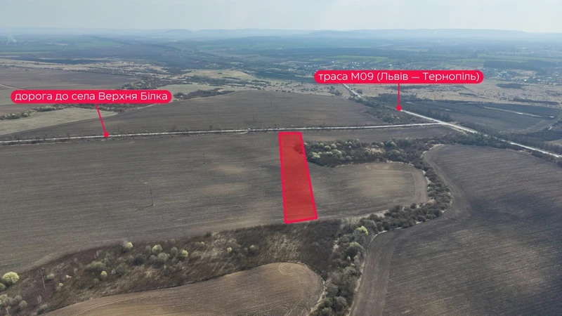 Продаж / Земля / СГ, Комерційне / Підберізці, Чижиків / Пустомитівський, Львівська область — фото 2 з 7