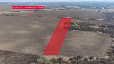 Продаж / Земля / СГ, Комерційне / Підберізці, Чижиків / Пустомитівський, Львівська область — мініатюра фото 4