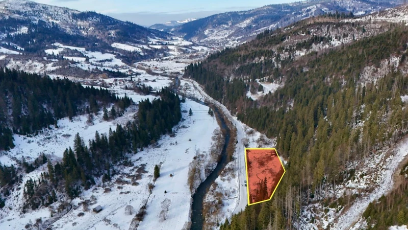 Продаж / Земля / ОСГ / Головецько ( Тухля) / Стрийський, Львівська область — фото 5 з 15