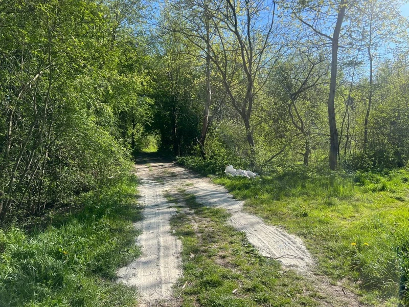 Продаж/Земля/Садівництво/Сокільники/Трускавецька/Львівська область — фото 2 з 3