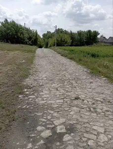 Участок 15 соток с. Кодаки Обухівський р-н — мініатюра фото 3