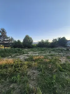 🔥 Інвестиція в курортний бізнес: продаж 12 соток у Солотвино біля озер! — мініатюра фото 3