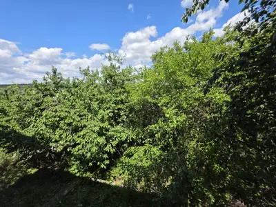 Продаж дачі — мініатюра фото 12