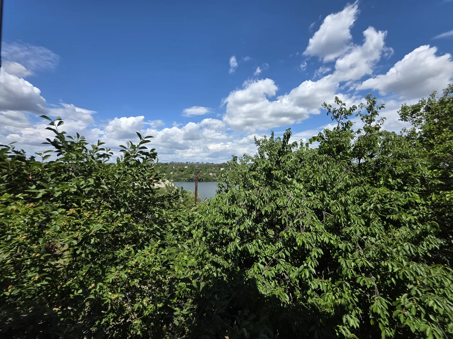 Продаж дачі — фото 14 з 20