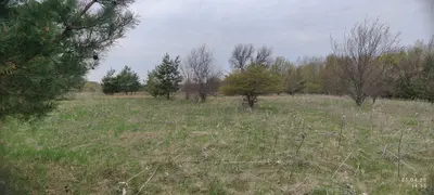 01.03 Для ведення особистого селянського господарства — мініатюра фото 1